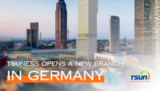 The Power Play: How Microinverters Beat DC Optimizers in Solar Systems The Power Play: How Microinverters Beat DC Optimizers in Solar Systems