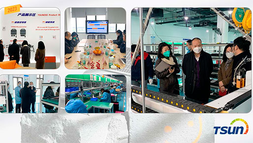 The Power Play: How Microinverters Beat DC Optimizers in Solar Systems The Power Play: How Microinverters Beat DC Optimizers in Solar Systems